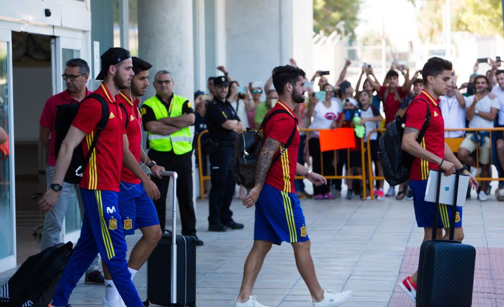 Los jugadores de la Selección llegan a Alicante