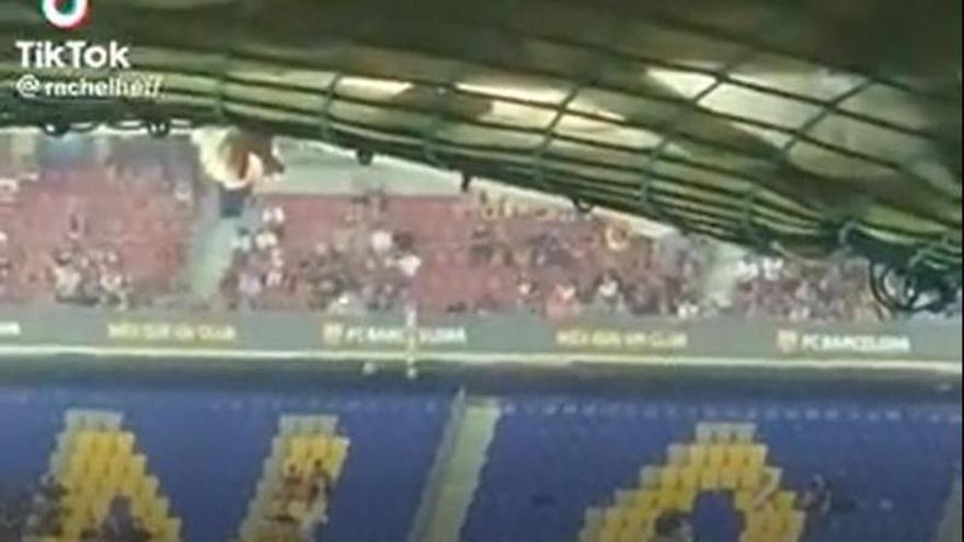 Graban a una rata en el Camp Nou durante el Gamper