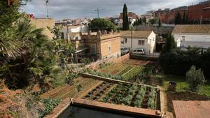 Una balsa y huertos en La Clota, esta semana.