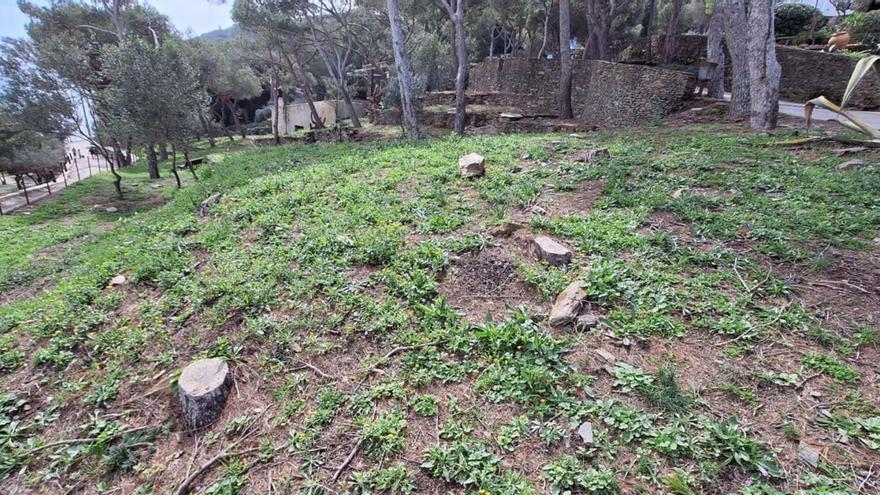 Alerta per la tala de pins entorn de Portlligat a Cadaqués