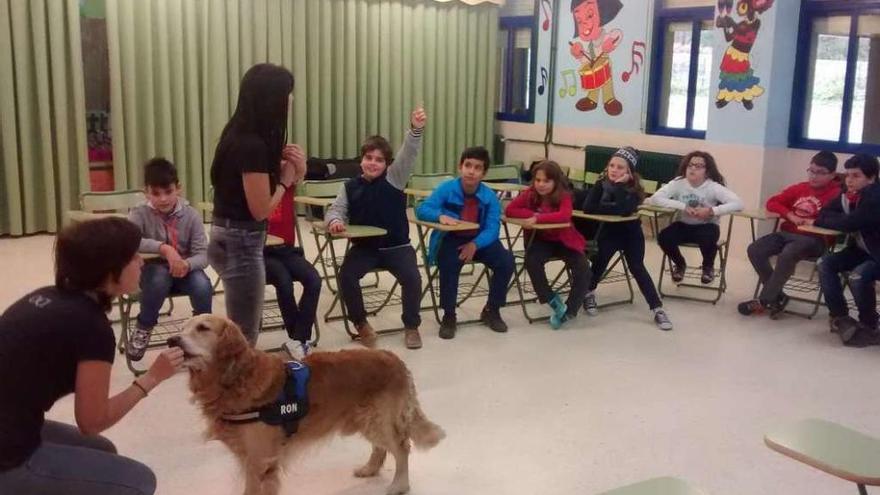 Tania Penas, Viki Lago y el perro Ron, en una de las clases. // D.P.