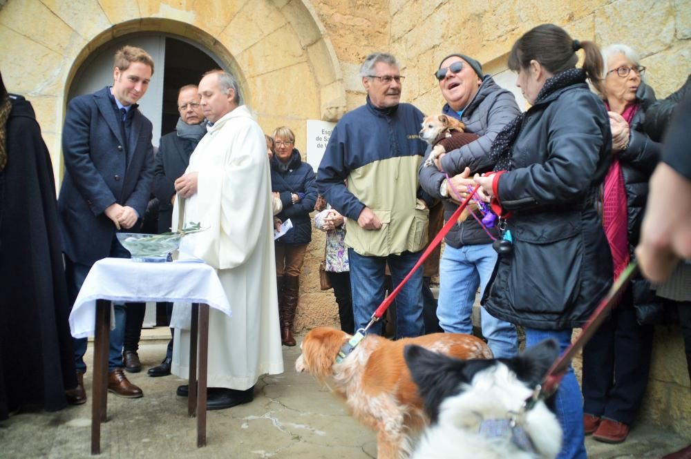 Vilatenim compleix la tradició de Sant Antoni