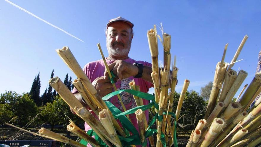 25.000 cañas preparadas para las fiestas de la Magdalena