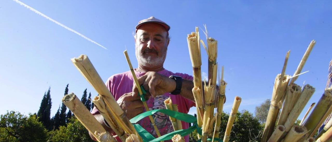 Fernando Renau con las cañas que repartirá el Ayuntamiento de Castelló el 20 de enero.