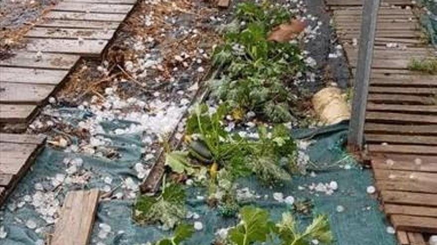 Una fuerte granizada cae entre Belchite y Cariñena