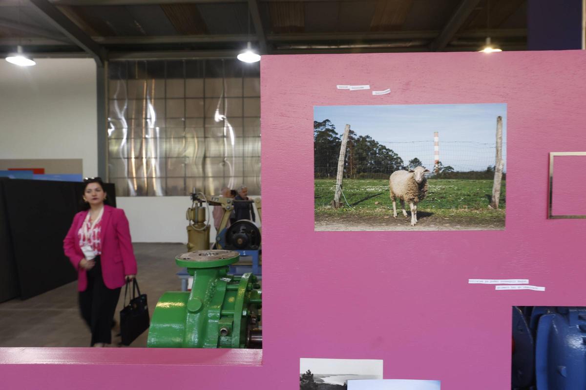 EN IMÁGENES: la primera Bienal Climática en Avilés