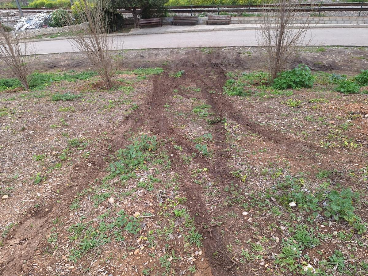 Acto vandálico en el bosque