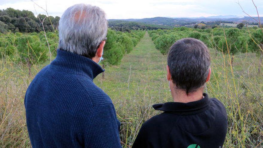 El productor Carles Vaello i el tècnic del Consorci Forestal Josep Maria Tusell a Arenys d&#039;Empordà.