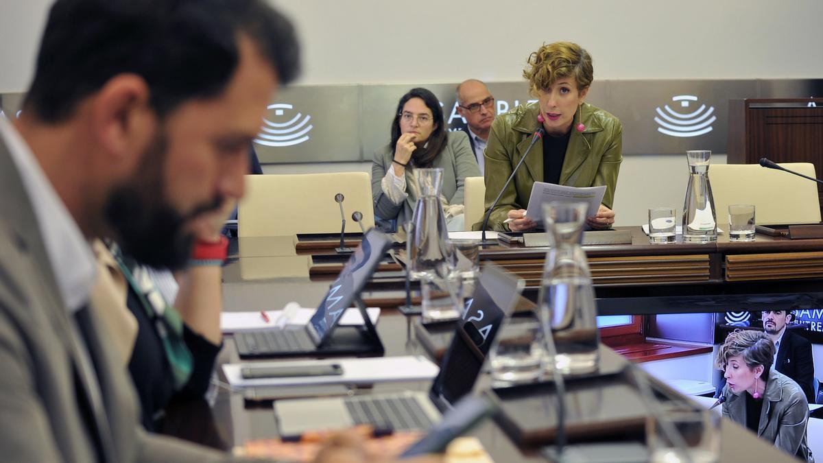 La directora general de Turismo, Ana Isabel Domínguez, compareciendo en la Comisión de Cultura y Turismo de la Asamblea. En primer plano, el diputado socialista Álvaro Sánchez Cotrina.
