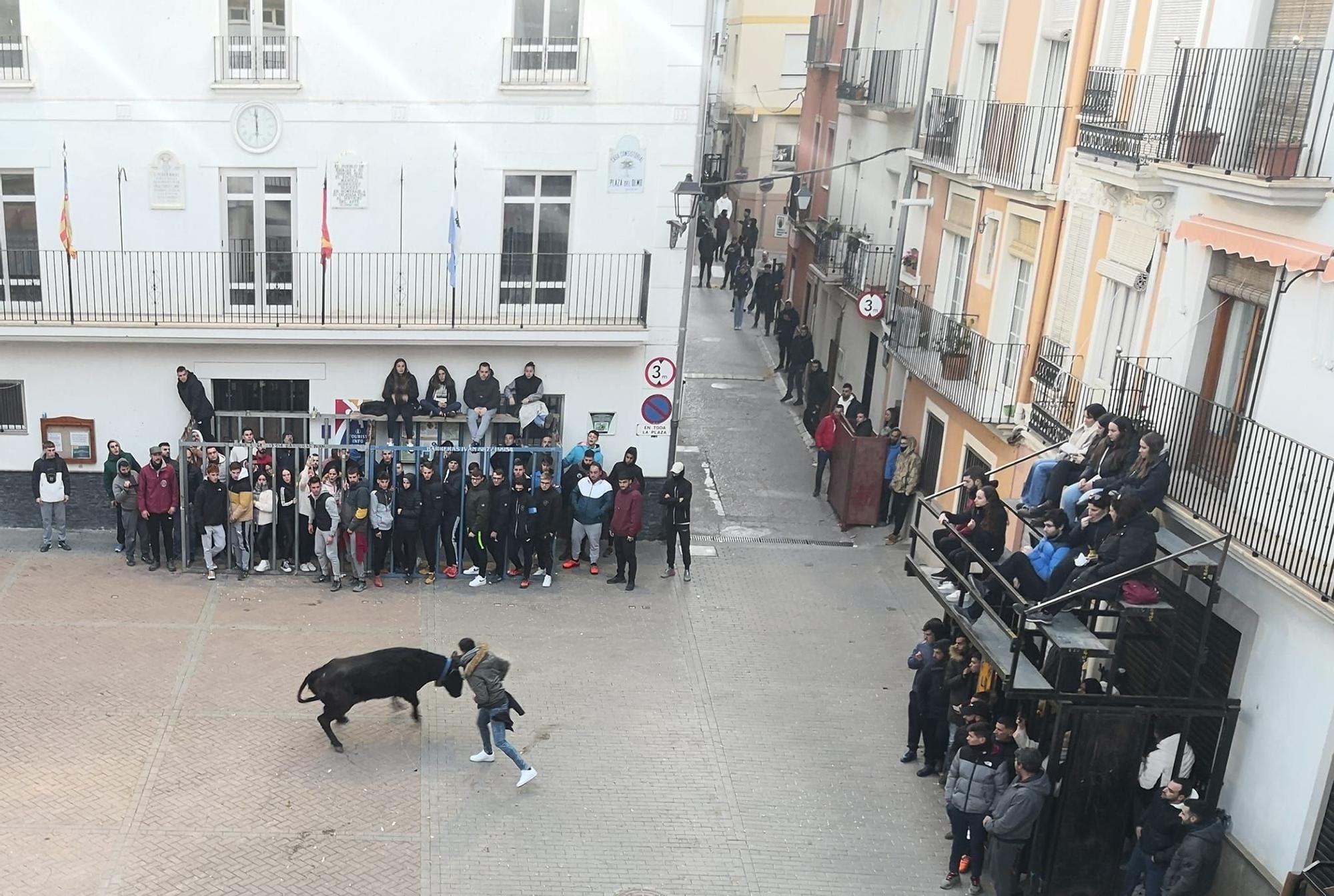 Fin de semana taurina en Navajas por San Antón