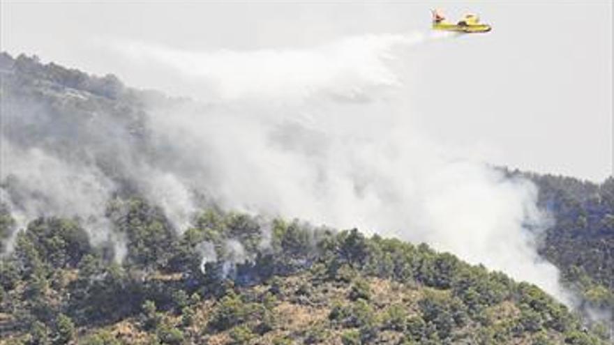 Dos intensas semanas de trabajo hasta dar por extinguido el fuego