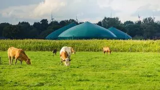 Cepsa reta a Naturgy y Repsol y abre otra batalla por el ‘boom’ de los gases verdes en España