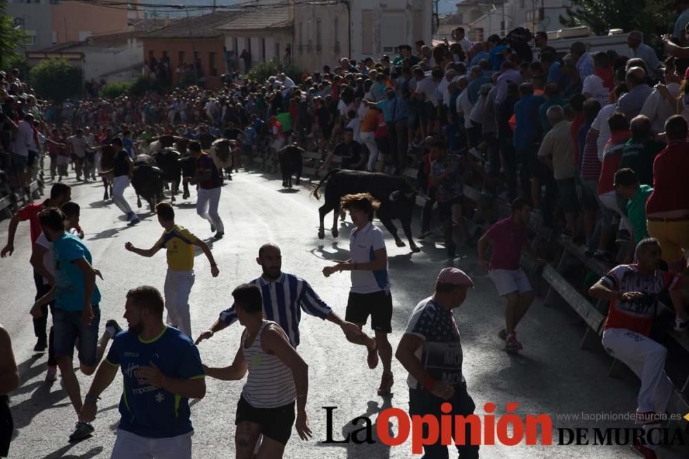 Segundo encierro de Calasparra