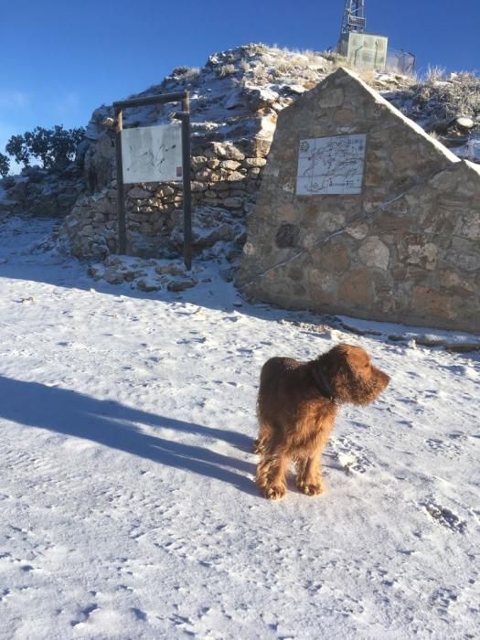 Pico la Madama (Carche) con la primera nevada del invierno.