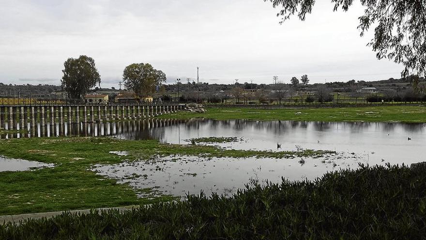 La charca de San Lázaro de Trujillo se encuentra al 20% de capacidad