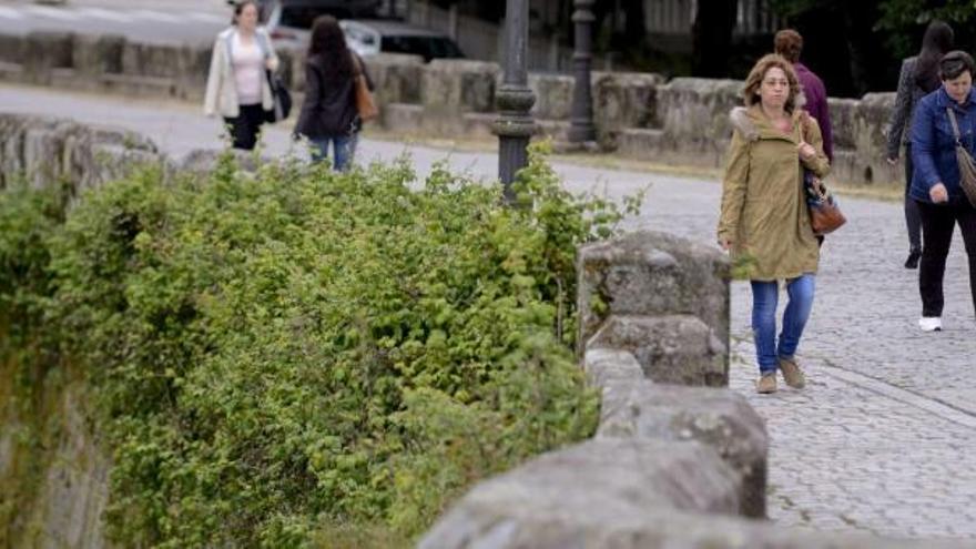 La maleza y el olvido carcomen la Ponte Vella