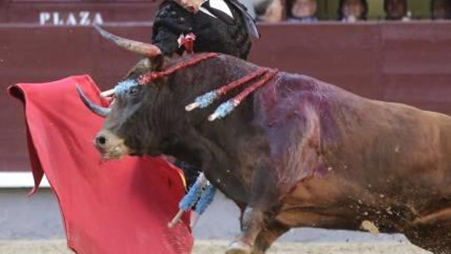 Manzanares supera viento, detractores y suspicacias