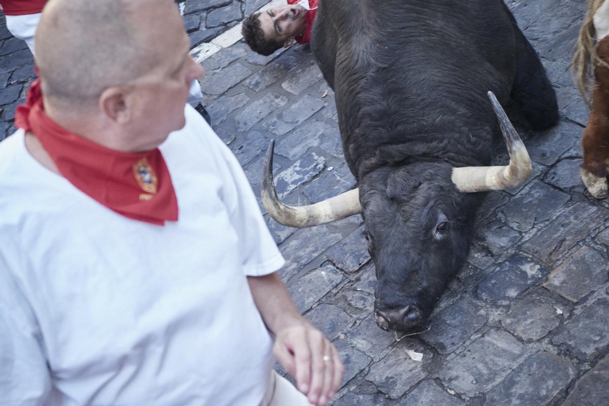 Un toro yace en el suelo durante el segundo encierro de la ganadería de Fuente Ymbro, en las Fiestas de San Fermín 2022 , a 8 de julio.