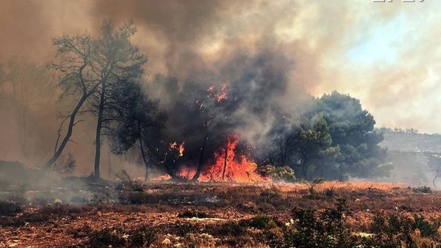 Más de un centenar de incendios activos en Grecia debido a la &quot;mezcla explosiva&quot; de fuertes vientos y sequía