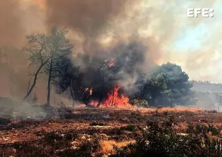 Más de un centenar de incendios activos en Grecia debido a la "mezcla explosiva" de fuertes vientos y sequía