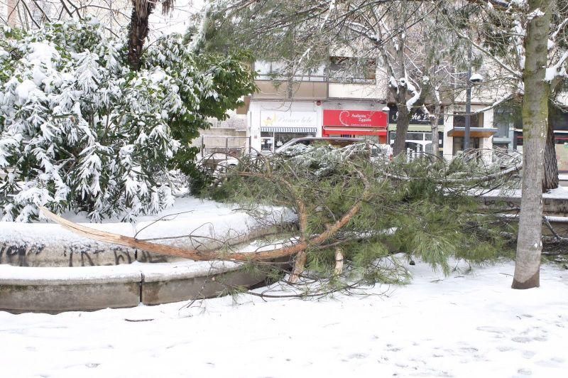 Nevada en Zamora: La ciudad, intransitable