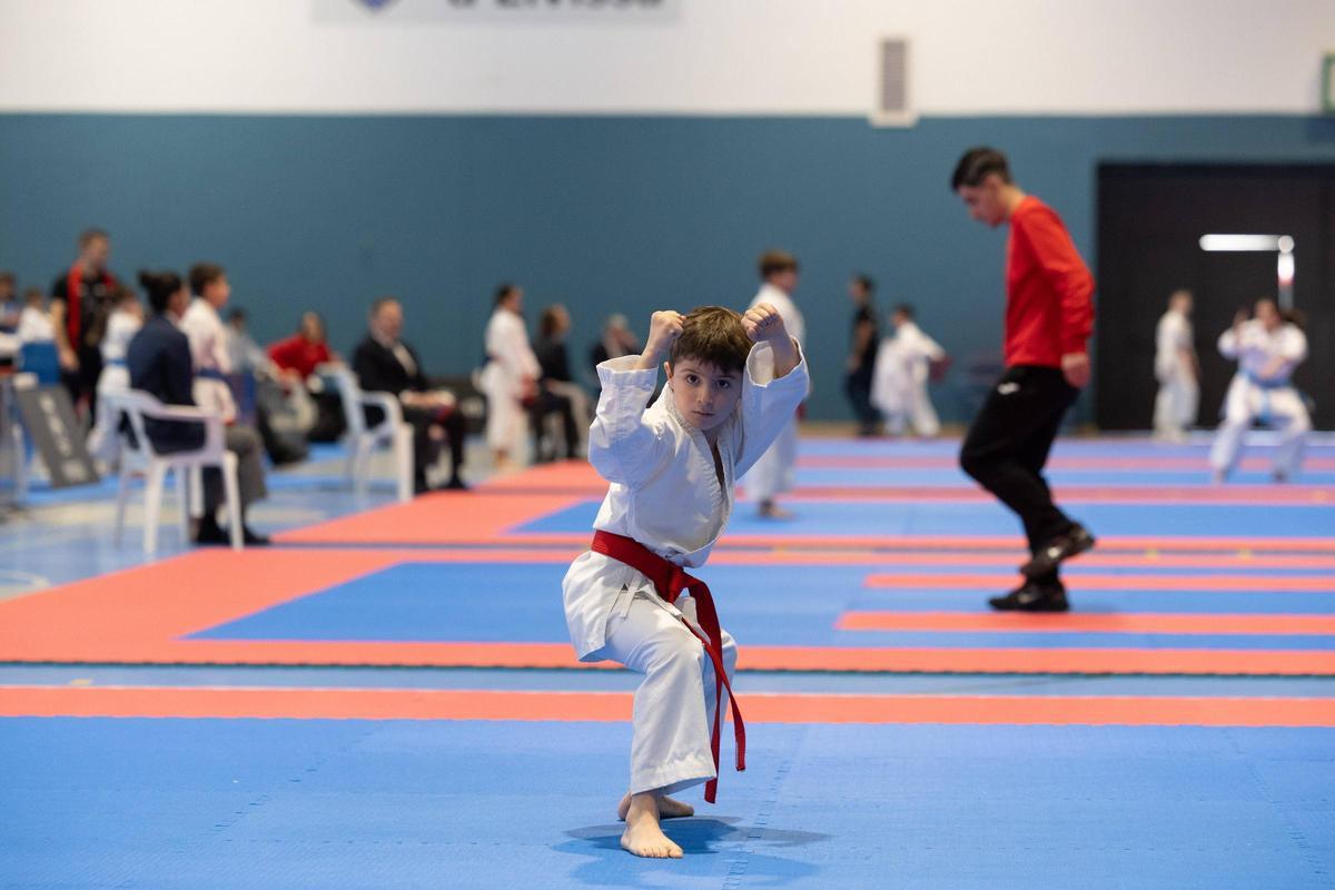 Mira aquí todas las imágenes del Campeonato infantil balear de karate