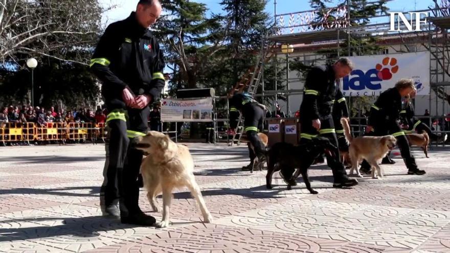 Un simulacro muy real para público escolar