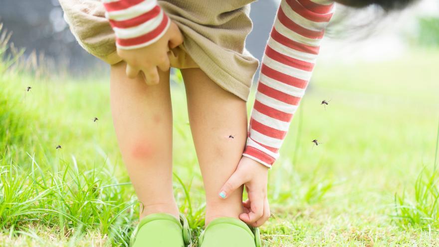 ¿Por qué pican más los mosquitos en los tobillos?