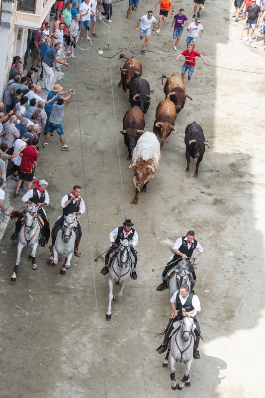 Fotogalería de la segunda Entrada de Toros y Caballos de Segorbe