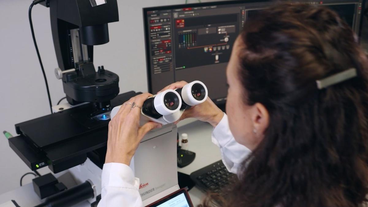 Una mujer usa un microscopio en cuyas lentes puede haber hasta 1.700 bacterias por centímetro cuadrado.