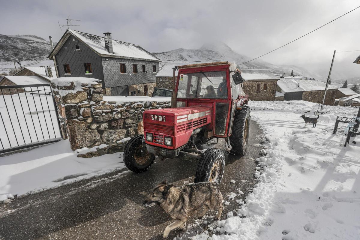 Un ganadero transporta un silo de paja en el Puerto de Somiedo.