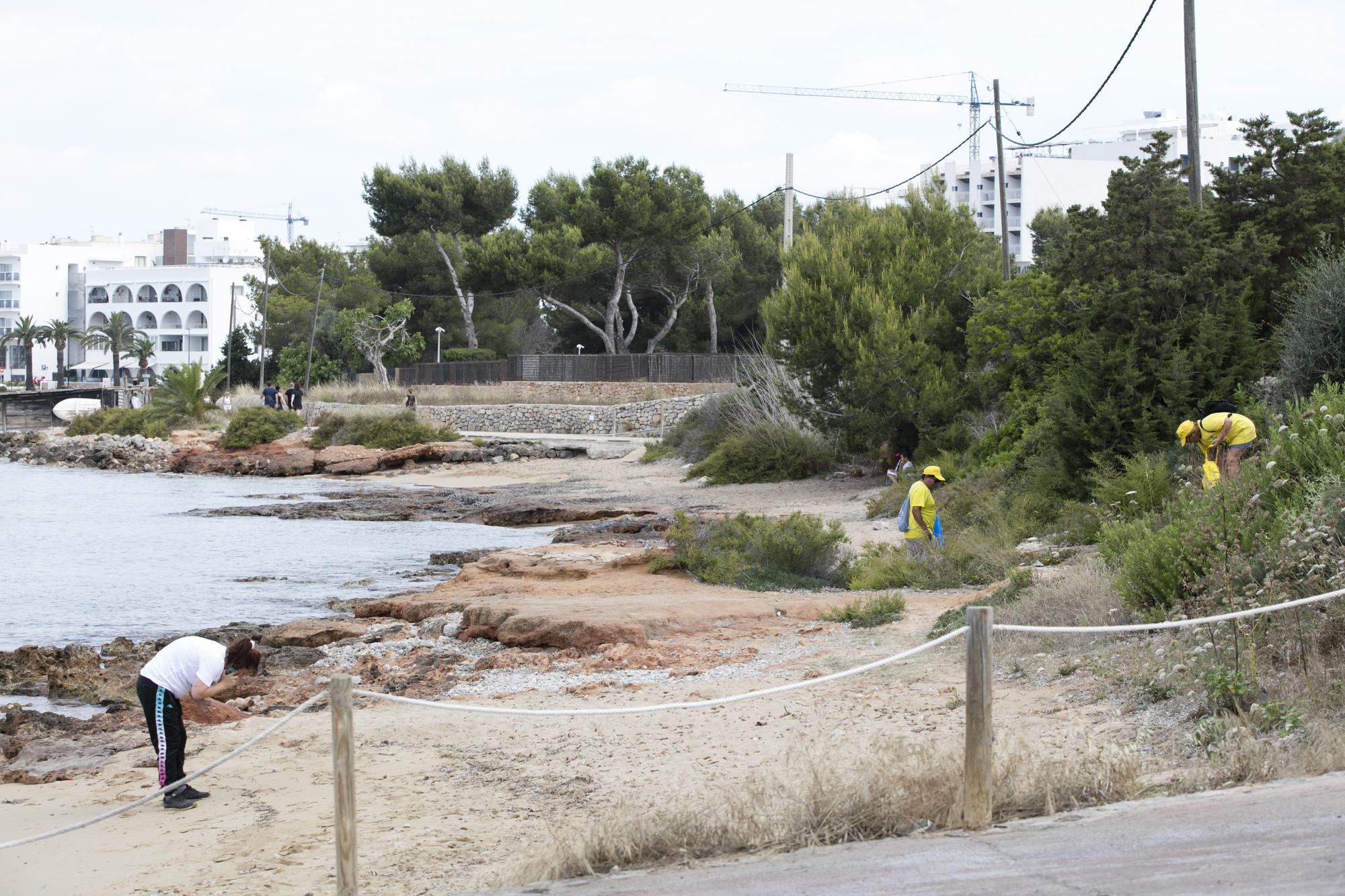 Galería de imágenes de la recogida de plásticos en una playa de Ibiza