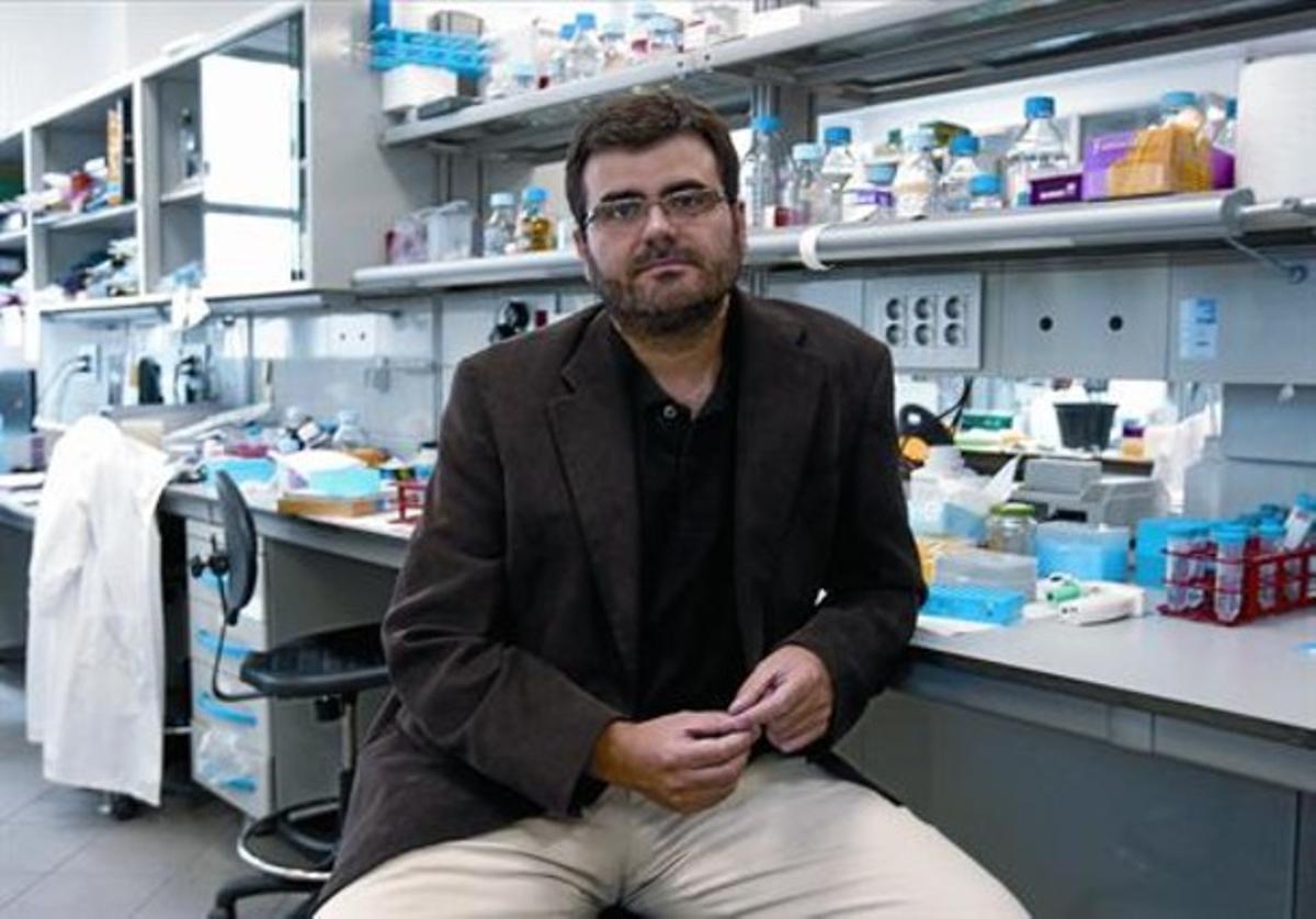 El investigador Eduard Batlle, en su laboratorio del Institut de Recerca Biomèdica de Barcelona.