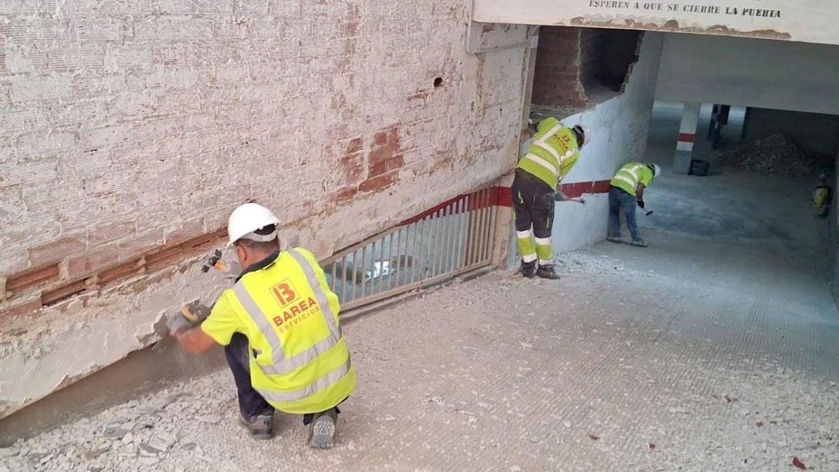 Profesionales de Barea Servicios.