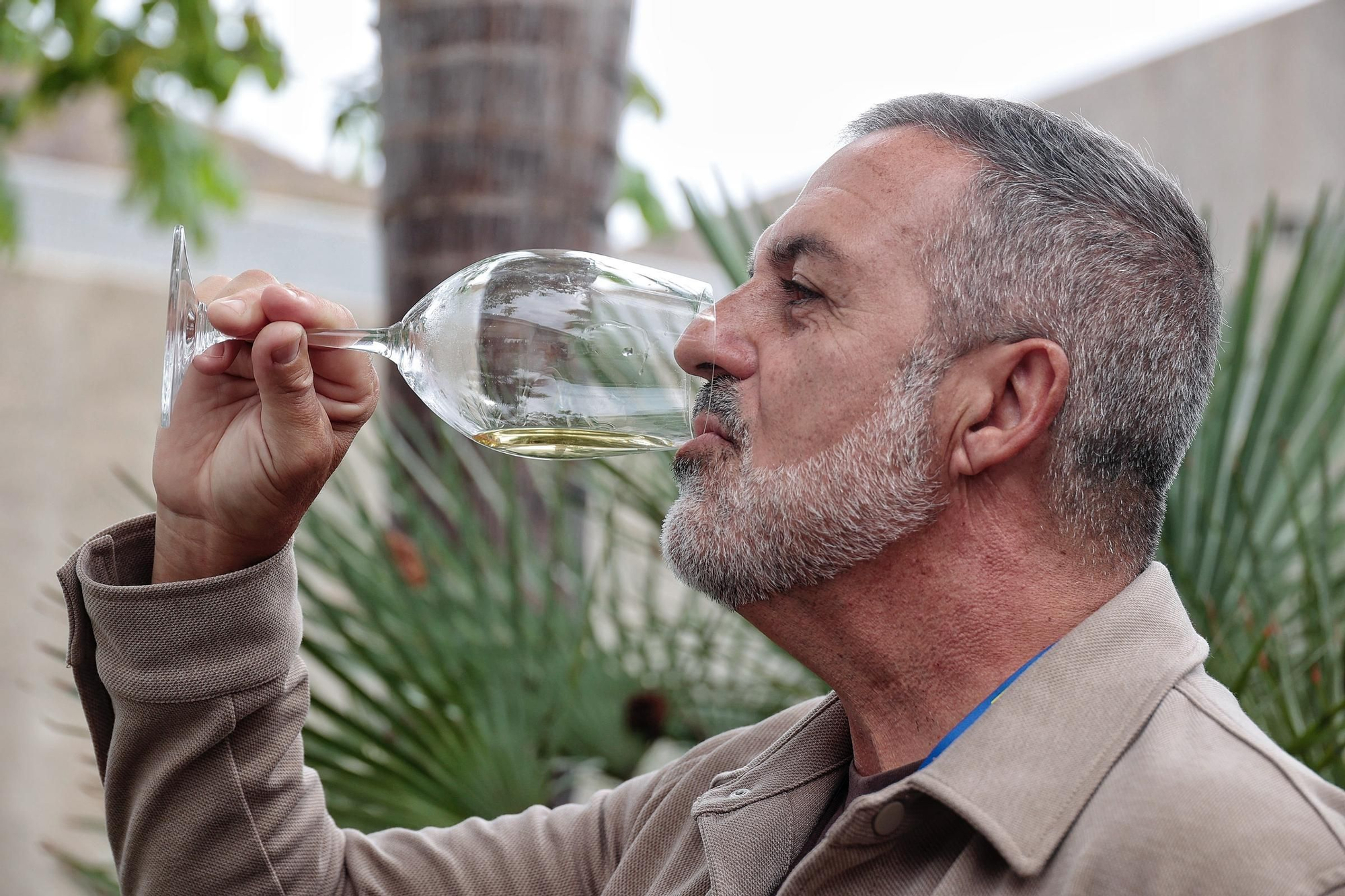 Primera jornada de The Wine Gallery