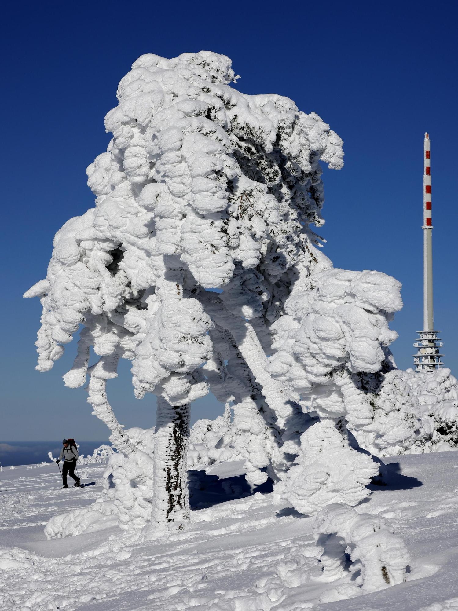 FOTOS | Grandes nevadas en Alemania