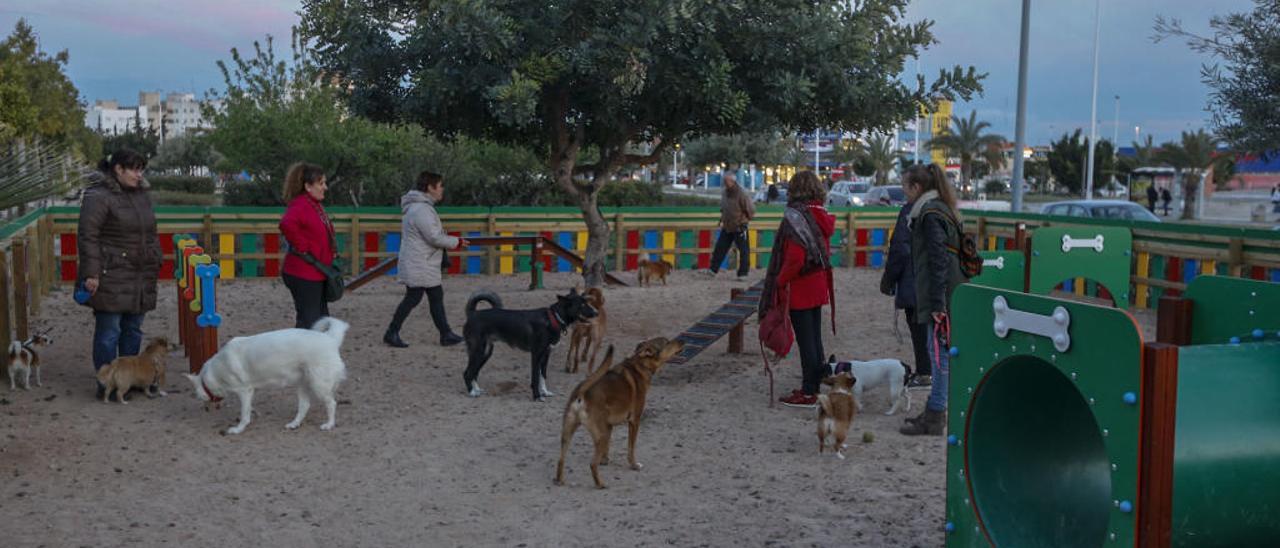 Un grupo de vecinos llevan a sus mascotas a uno de los últimos parques caninos que se han abierto en la ciudad para el esparcimiento de las mascotas.