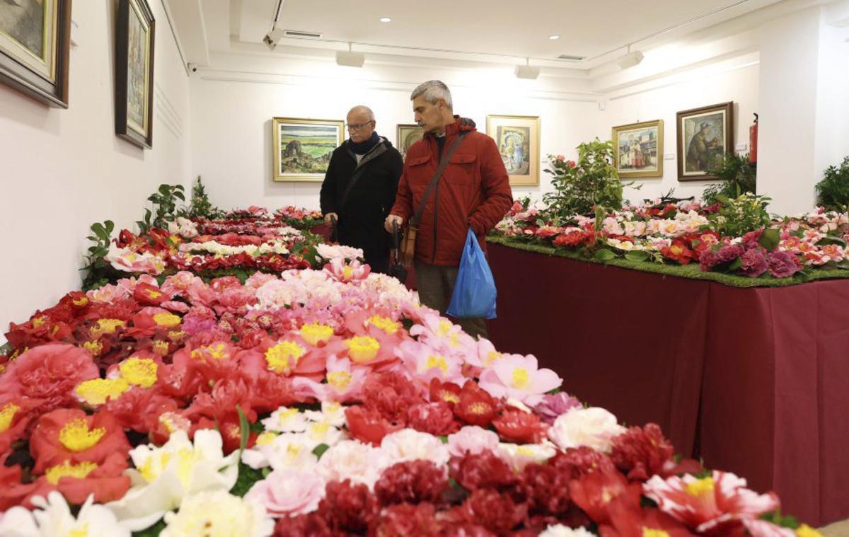 Algunas de las flores presentes en la muestra.