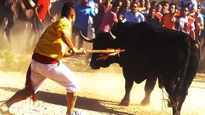 El torneo del Toro de la Vega