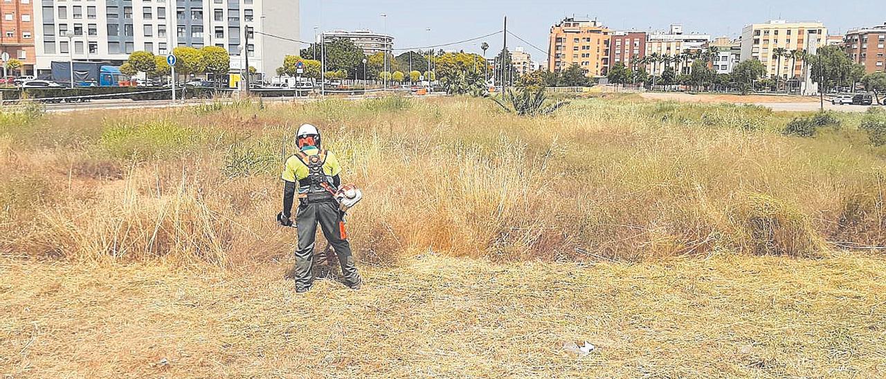 El Ayuntamiento mejorará el mantenimiento de vías públicas y rurales con el nuevo optimizado servicio de desbroce.