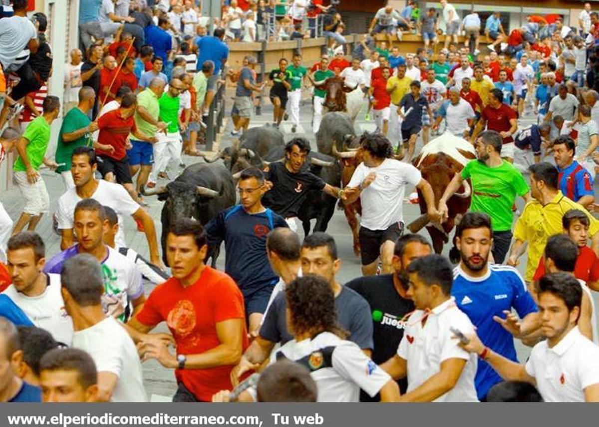 GALERÍA DE FOTOS -- Encierro de vértigo en la Vall d’Uixó GALERÍA DE FOTOS -- Encierro de vértigo en la Vall d’Uixó