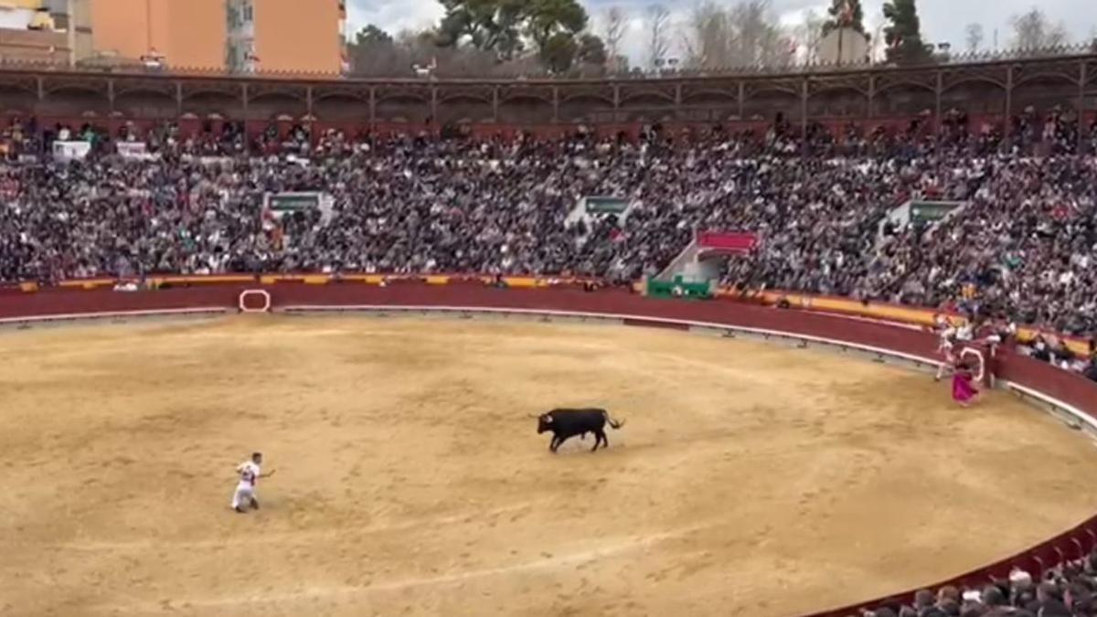 Susto en la plaza de toros de Castellón