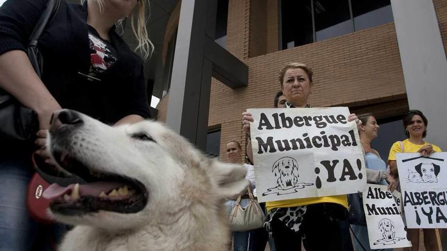 Una pasada concentración ciudadana a la puerta del Ayuntamiento de Castrillón en apoyo de la construcción de una perrera.