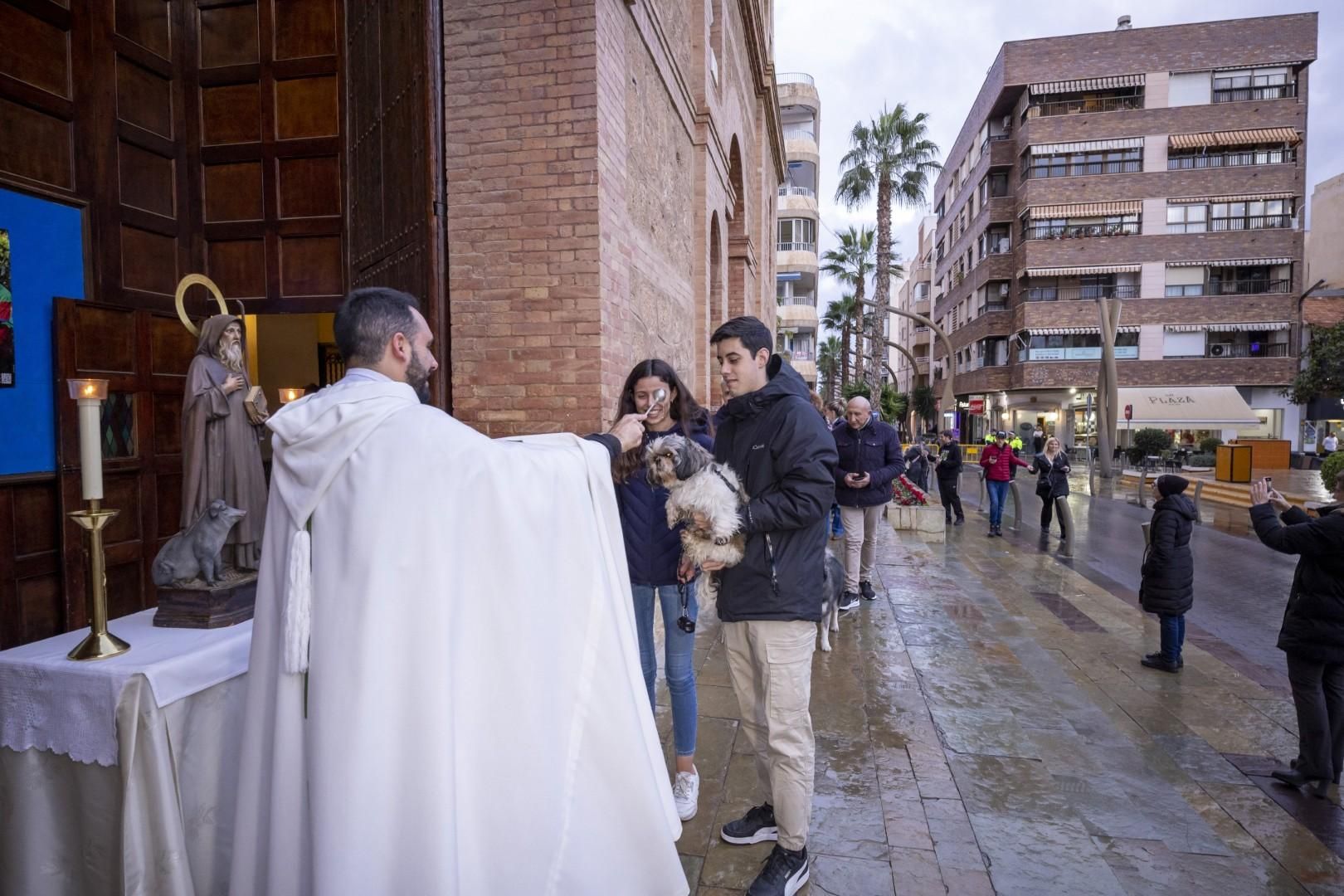 Bendición de animales por San Antón bajo una lluvia invernal en Torrevieja