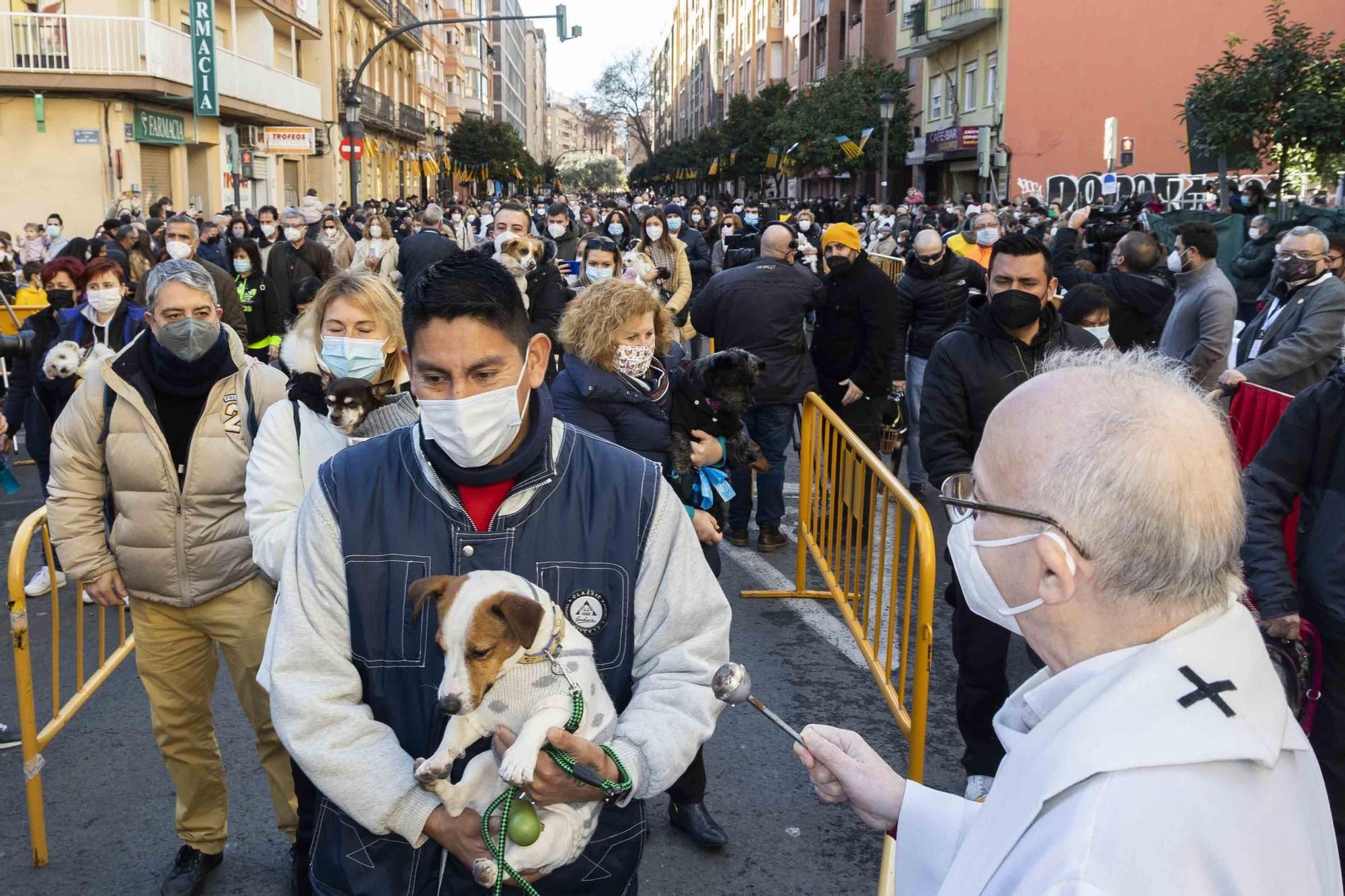 Búscate en la bendición de animales de Sant Antoni