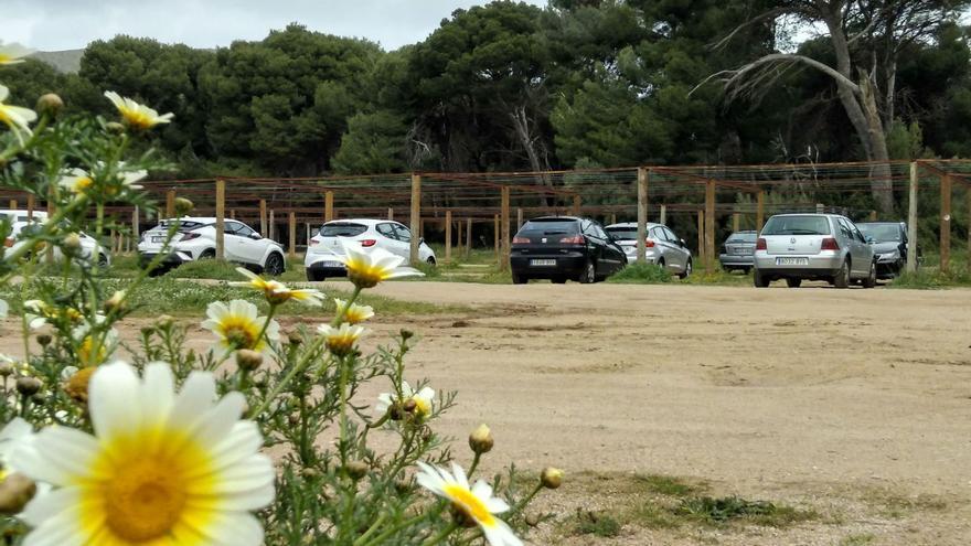 Frust über neuen Parkplatz am Strand Cala Agulla bei Cala Ratjada auf Mallorca