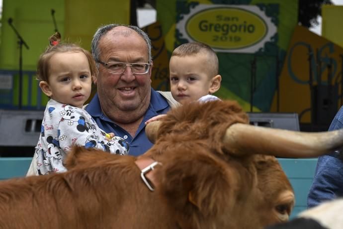 17-11-19 GRAN CANARIA. PLAZA DE SAN GREGORIO Y ALREDEDORES. TELDE. Fiesta de San Gregorio. Fotos: Juan Castro.  | 17/11/2019 | Fotógrafo: Juan Carlos Castro