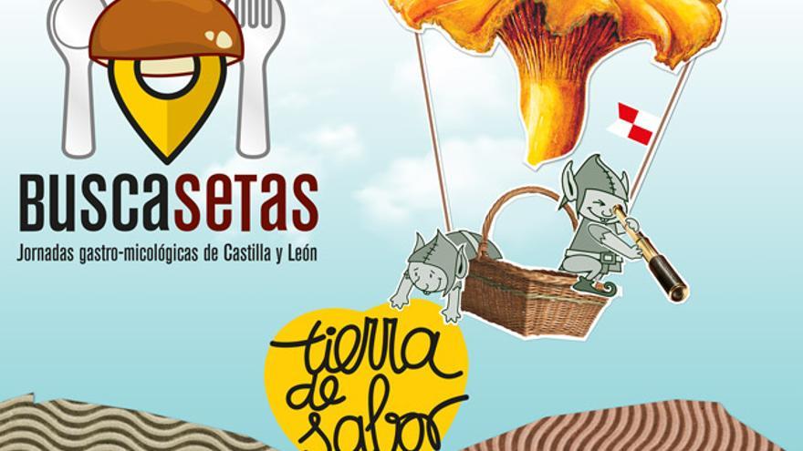 Buscasetas | Una veintena de restaurantes de Zamora participan en las jornadas micológicas