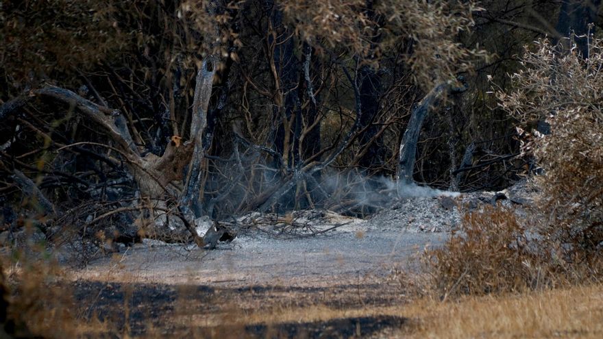 Els Bombers esperen donar per controlat l&#039;incendi del Baix Ebre aquesta tarda &quot;si tot evoluciona de forma favorable&quot;