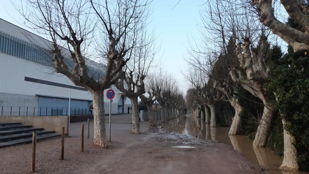 El creixement del Ter ha causat inundacions a Torroella